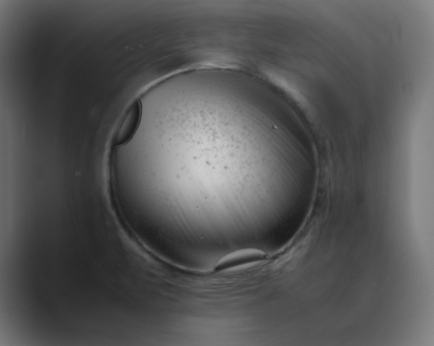 X0000089451471200706291434
