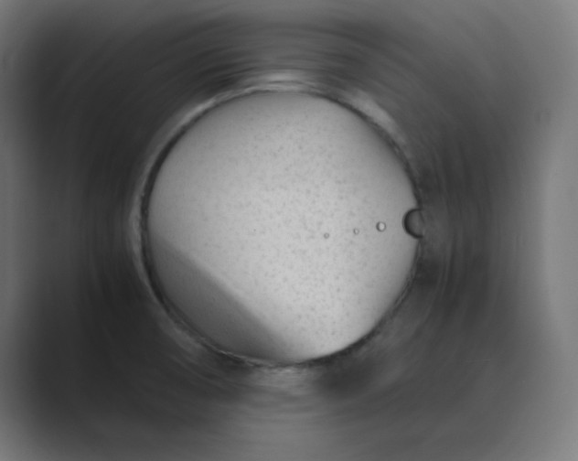X0000089451474200706291434