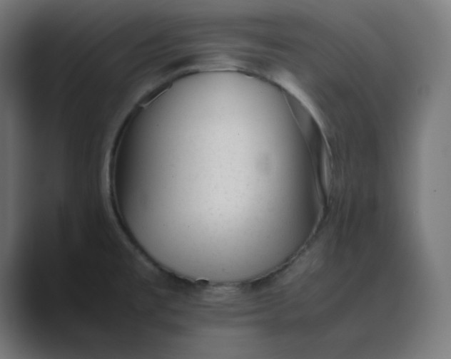 X0000089451477200706291434