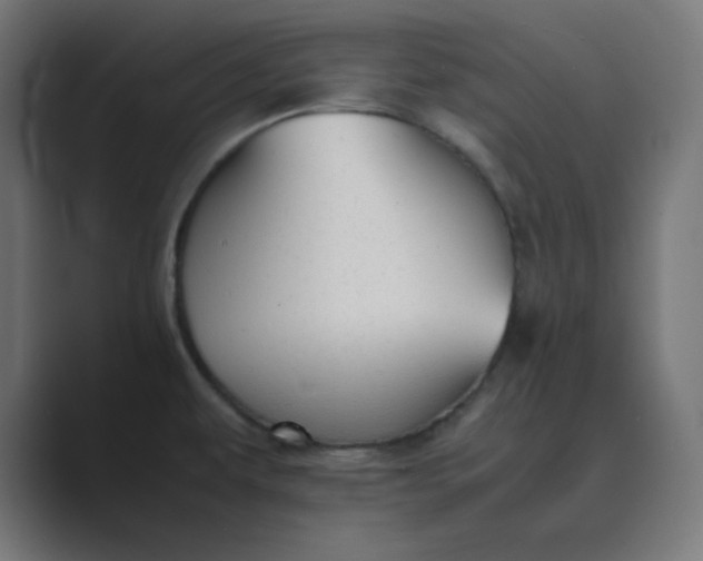 X0000089451479200706291434