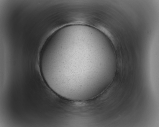 X0000089451480200706291434