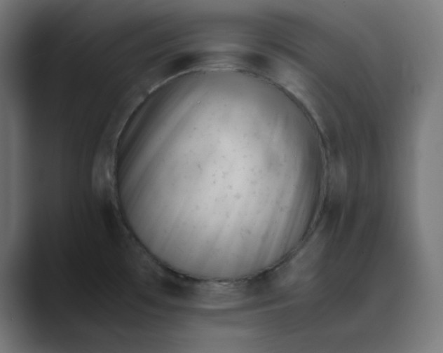 X0000089451481200706291434
