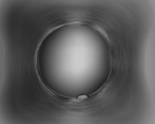 X0000089451483200706291434