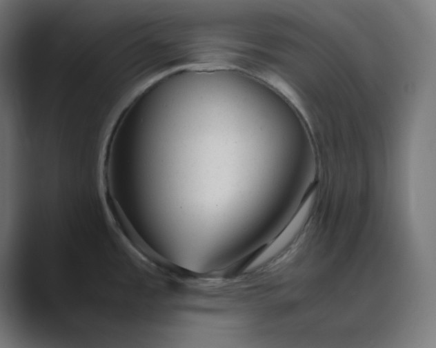 X0000089451485200706291434