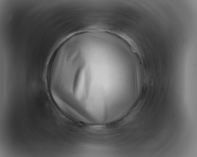 X0000089451486200706291434