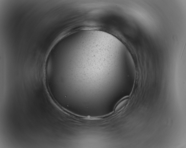 X0000089451487200706291434