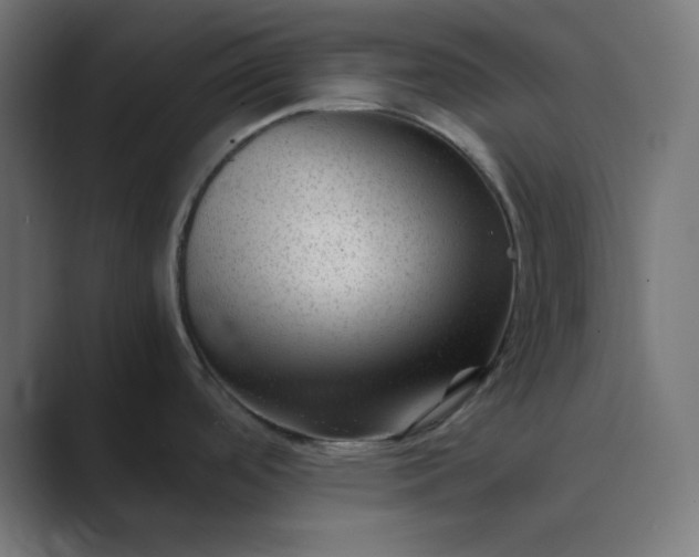 X0000089451488200706291434