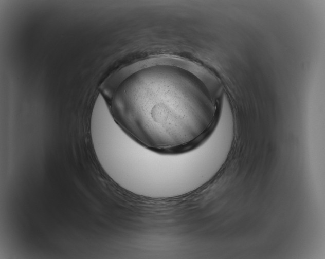 X0000089451492200706291434