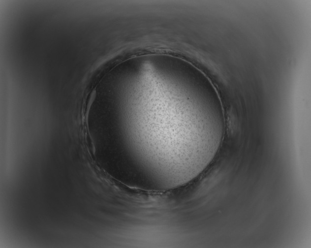 X0000089451494200706291434