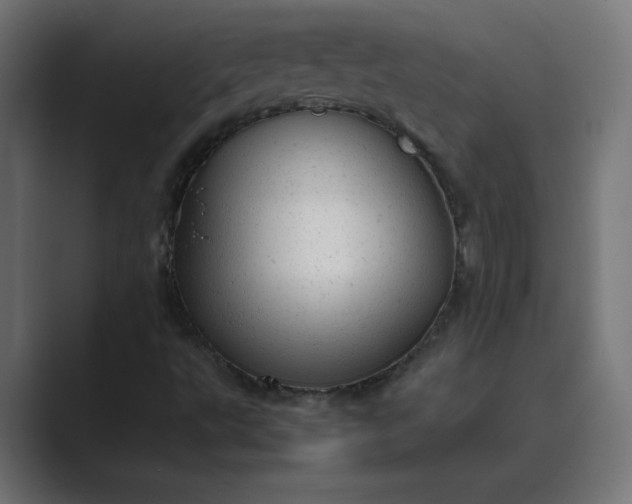 X0000089451495200706291434