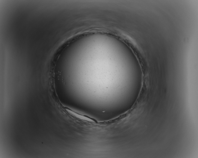 X0000089451496200706291434