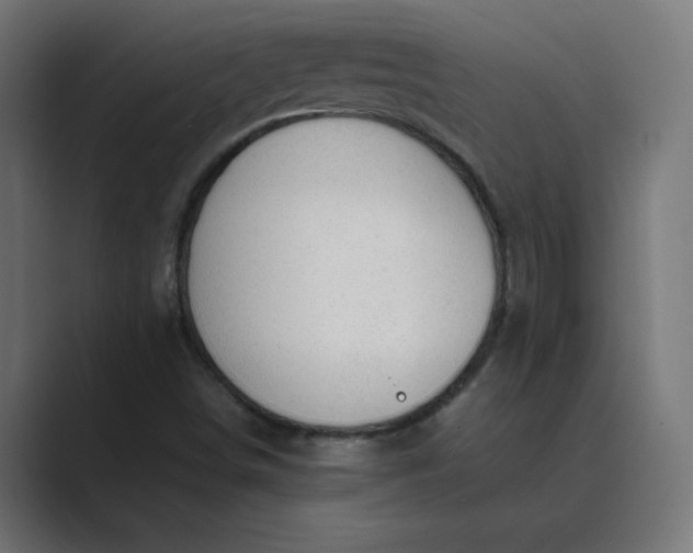 X0000089451498200706291434