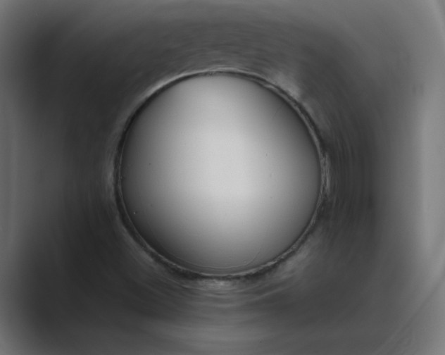 X0000089451500200706291434