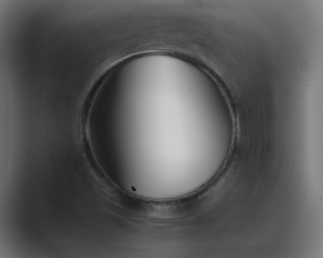 X0000089451501200706291434