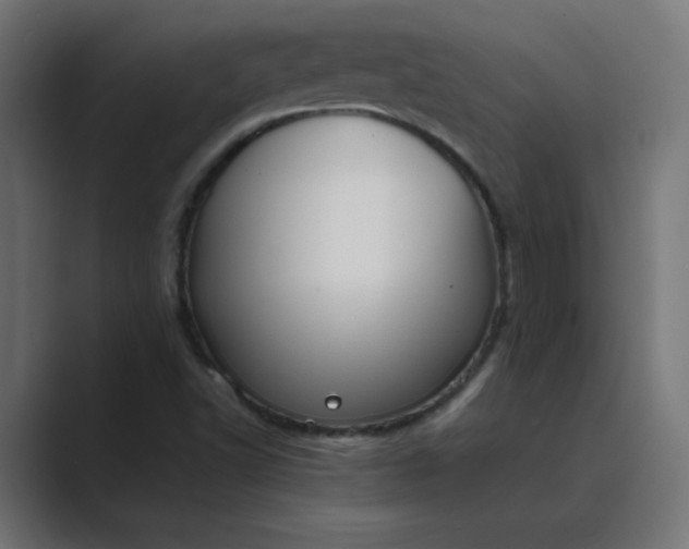 X0000089451502200706291434