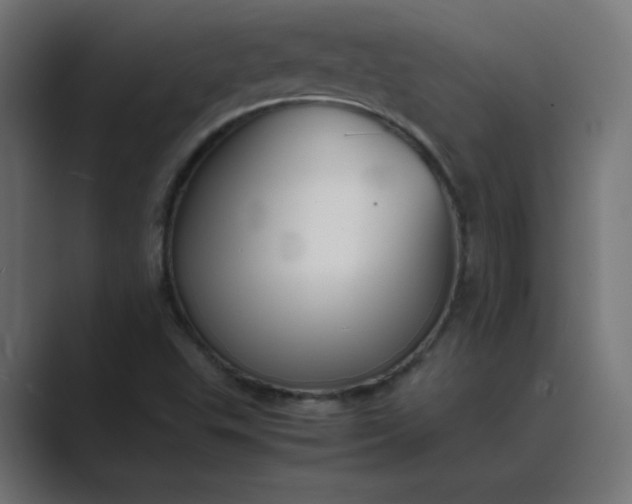 X0000089451503200706291434