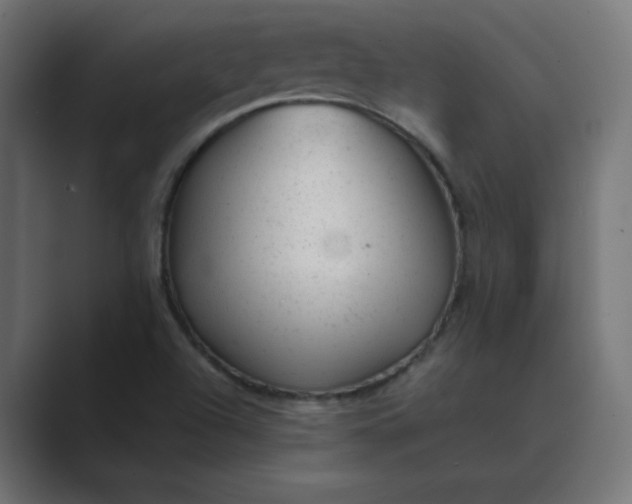X0000089451504200706291434