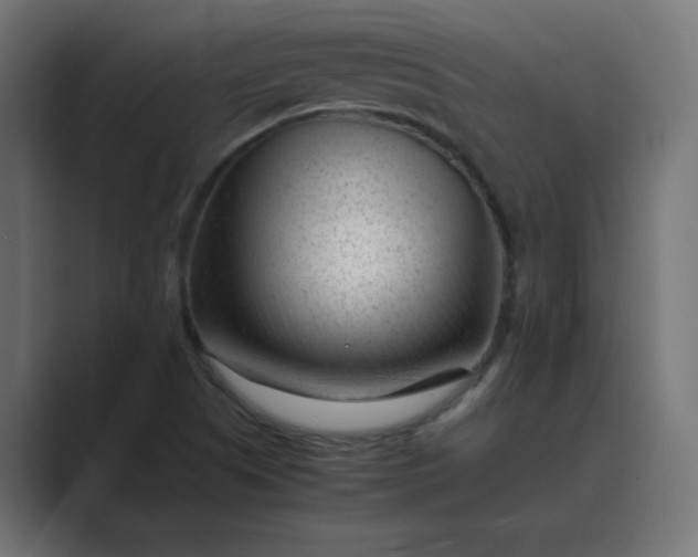 X0000089451505200706291434