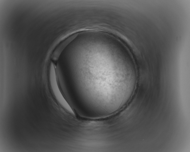 X0000089451506200706291434