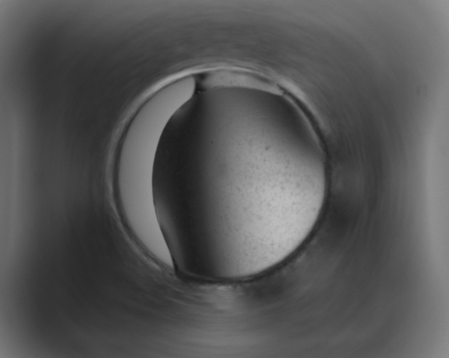 X0000089451508200706291434