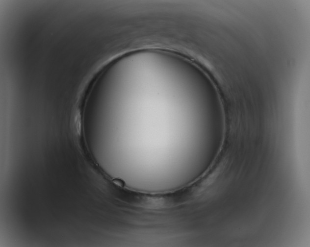 X0000089451509200706291434