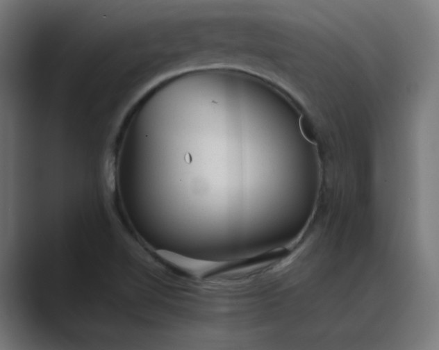 X0000089451510200706291434