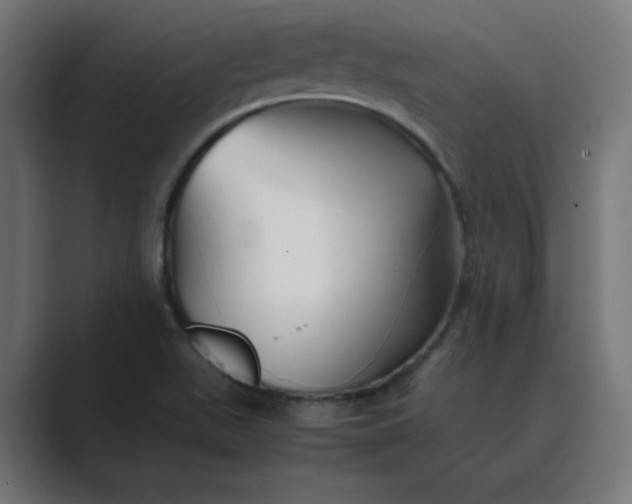 X0000089451511200706291434