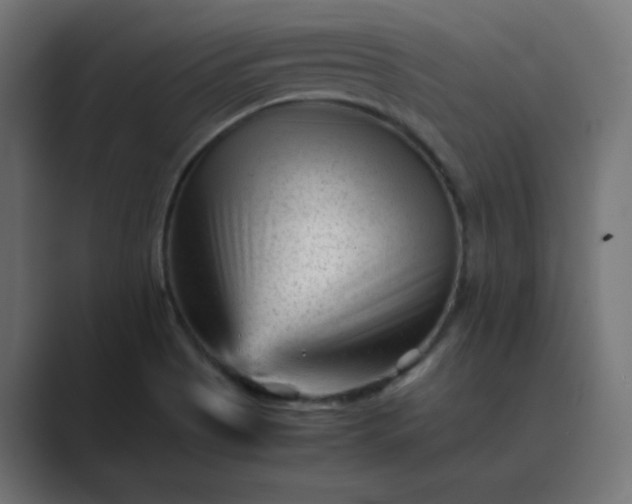 X0000089451513200706291434