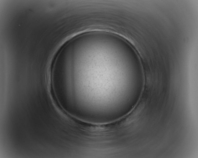 X0000089451515200706291434