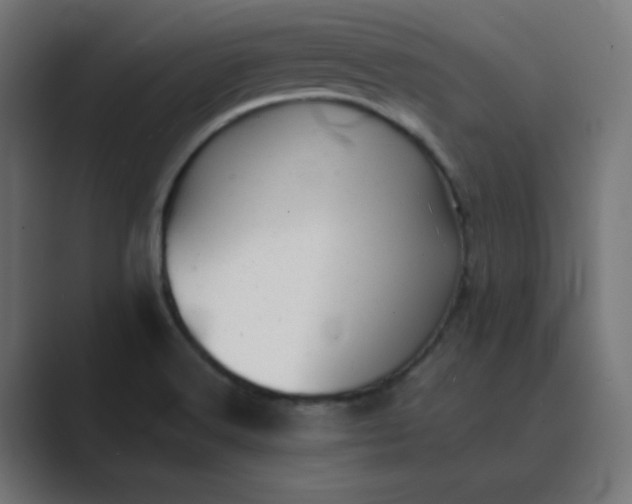 X0000089451516200706291434