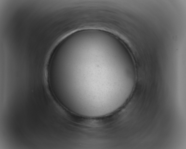 X0000089451517200706291434