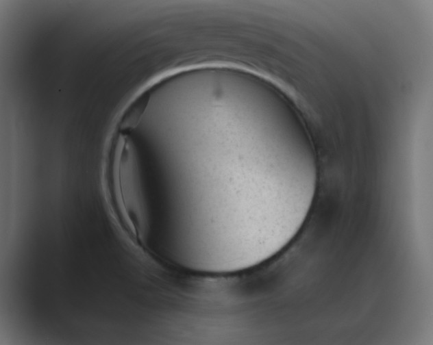 X0000089451518200706291434