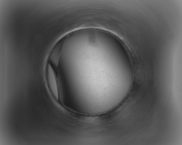X0000089451519200706291434