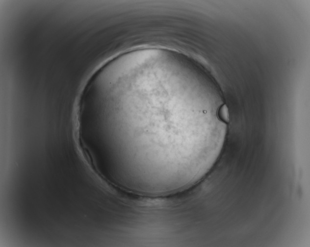 X0000089451522200706291434