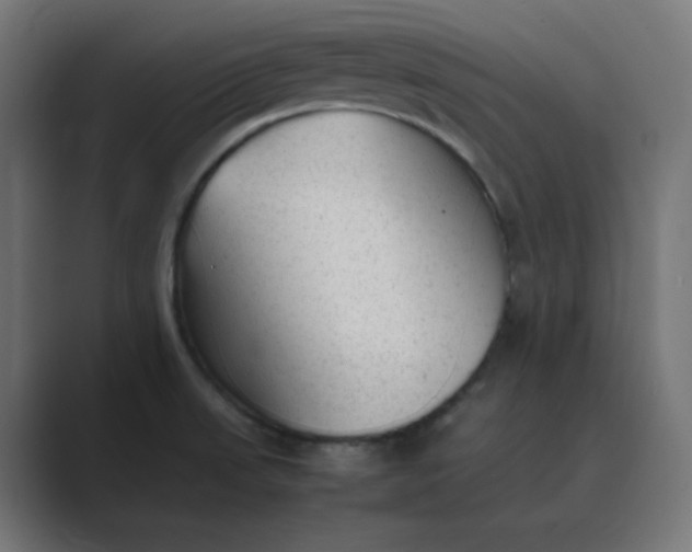 X0000089451523200706291434