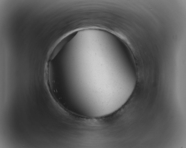 X0000089451524200706291434