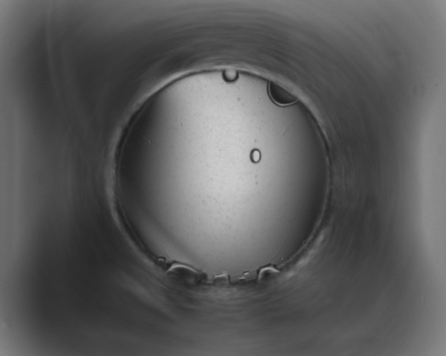 X0000089451525200706291434