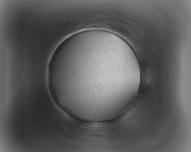 X0000089451527200706291434