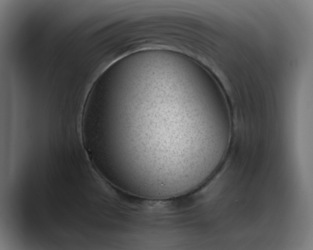 X0000089451529200706291434