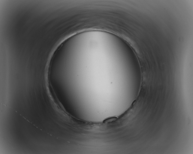 X0000089451530200706291434