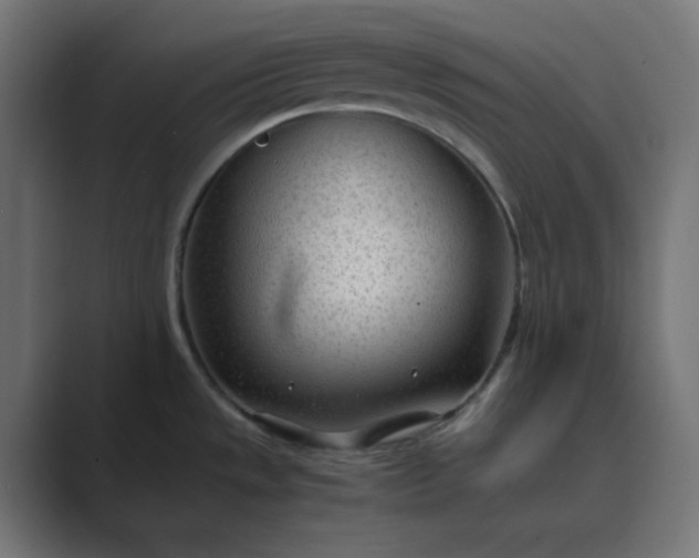 X0000089451533200706291434