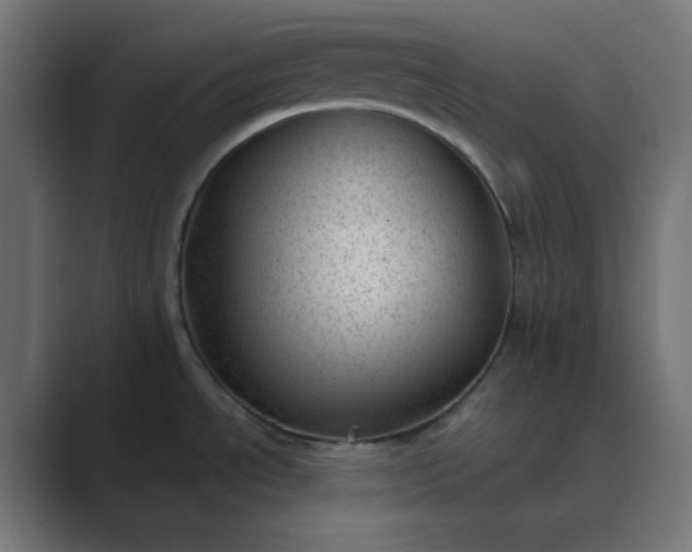 X0000089451534200706291434