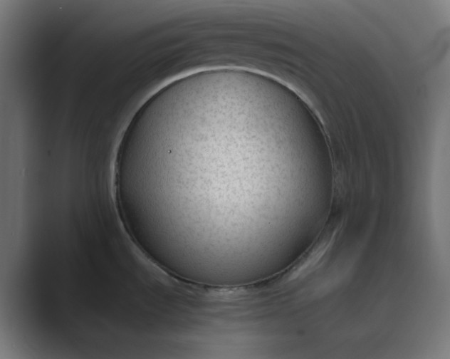 X0000089451535200706291434