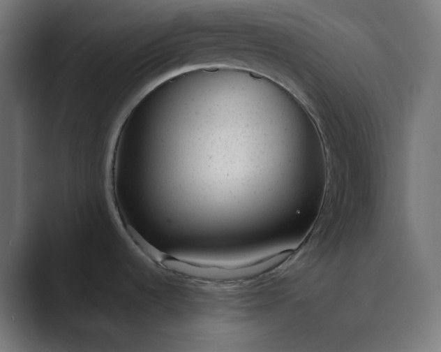 X0000089451536200706291434