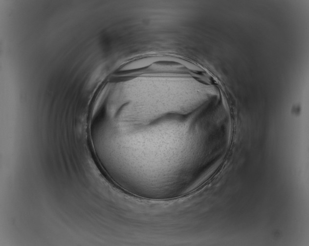 X0000089450002200707061252