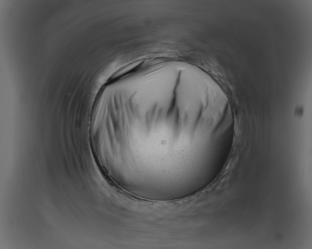 X0000089450003200707061252