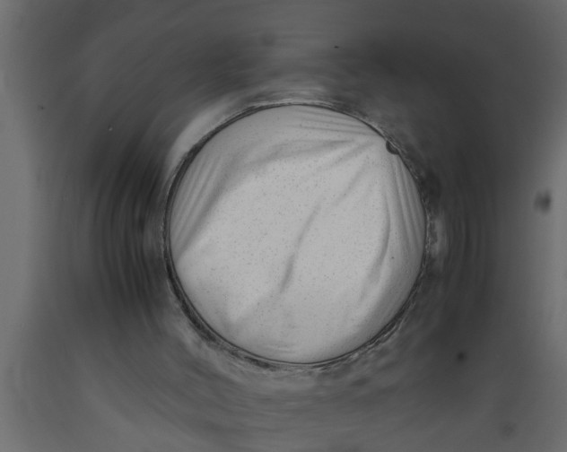 X0000089450004200707061252