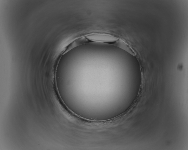 X0000089450005200707061252