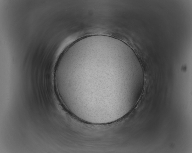 X0000089450006200707061252