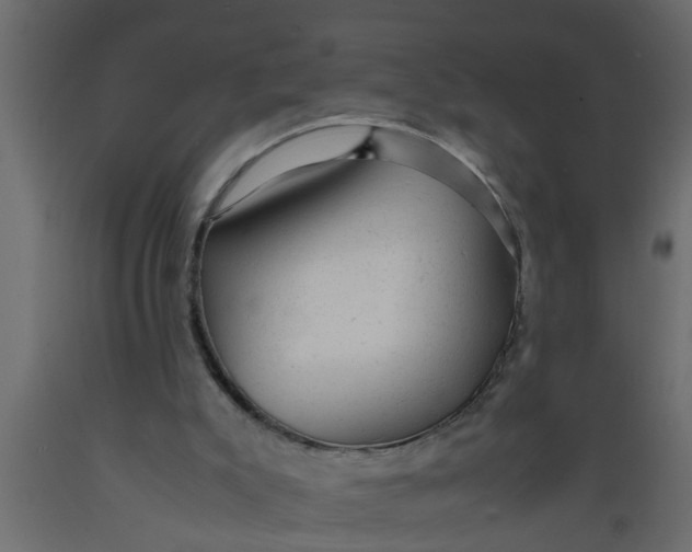 X0000089450007200707061252